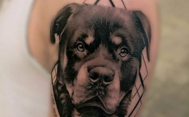 18 Amazing Rottweiler Tattoo Ideas You'll Love - The Dogman