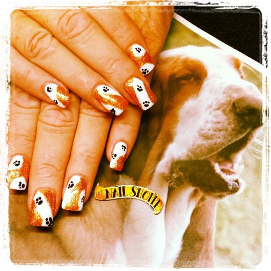 16 Charming Nail Designs for Basset Hound Owners The Dogman