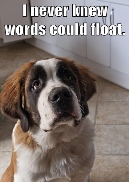 15 Funniest Saint Bernard Memes That Will Make You Laugh The Dogman 15 Funniest Saint Bernard Memes That Will Make You Laugh The Dogman
