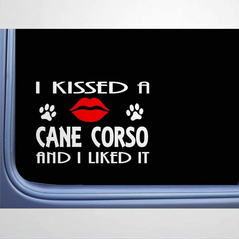 18 Massive Gifts for Cane Corso Lovers and Dog Owners The Dogman